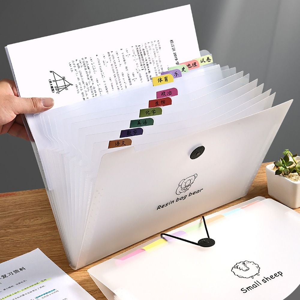 Cartoon Waterproof A4 File Fol – Document Organizer Folder recenzja i cena
